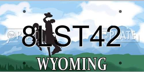 8LST42 Wyoming License Plate