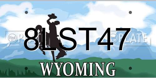 8LST47 Wyoming License Plate