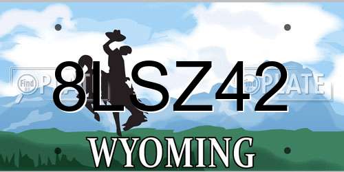 8LSZ42 Wyoming License Plate