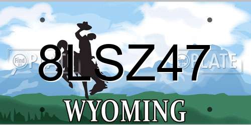 8LSZ47 Wyoming License Plate