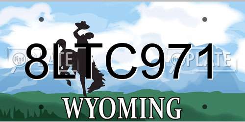 8LTC971 Wyoming License Plate