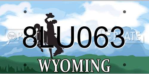 8LU063 Wyoming License Plate
