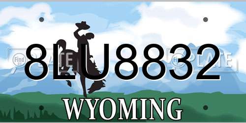 8LU8832 Wyoming License Plate