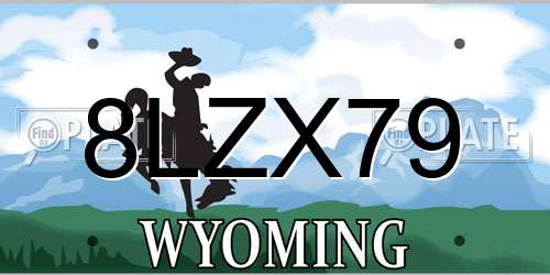 8LZX79 Wyoming License Plate
