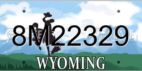 8M22329 Wyoming License Plate