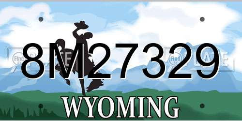 8M27329 Wyoming License Plate