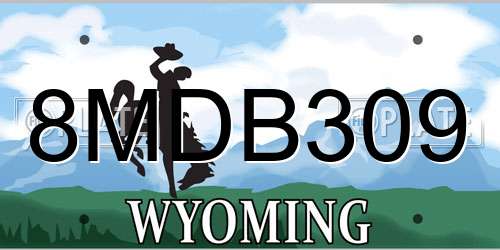 8MDB309 Wyoming License Plate