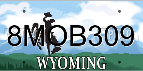 8MOB309 Wyoming License Plate