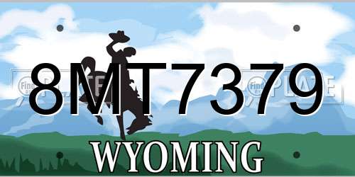 8MT7379 Wyoming License Plate