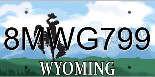 8MWG799 Wyoming License Plate