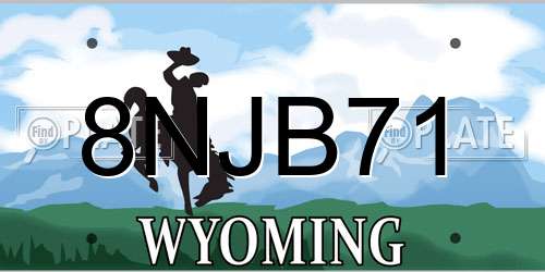 8NJB71 Wyoming License Plate