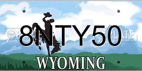 8NTY50 Wyoming License Plate
