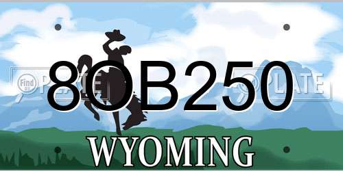 8OB250 Wyoming License Plate