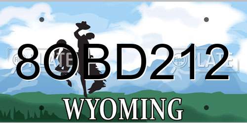 8OBD212 Wyoming License Plate