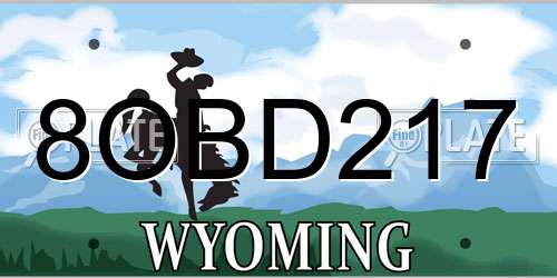 8OBD217 Wyoming License Plate