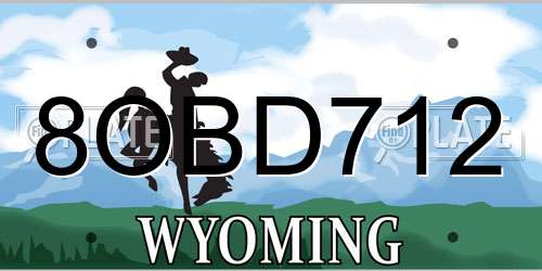 8OBD712 Wyoming License Plate