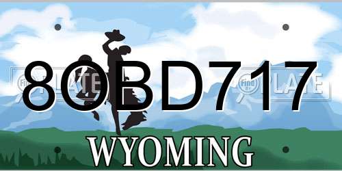 8OBD717 Wyoming License Plate