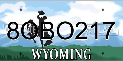 8OBO217 Wyoming License Plate