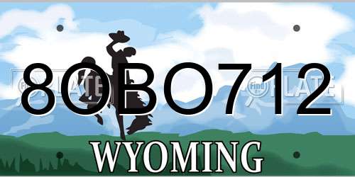 8OBO712 Wyoming License Plate