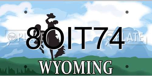 8OIT74 Wyoming License Plate