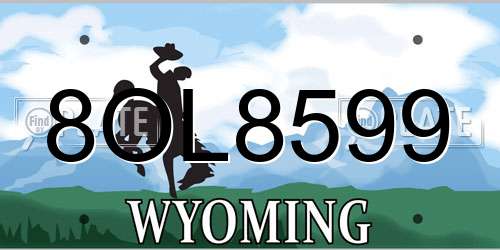 8OL8599 Wyoming License Plate