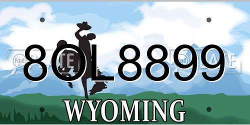 8OL8899 Wyoming License Plate