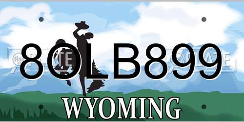 8OLB899 Wyoming License Plate