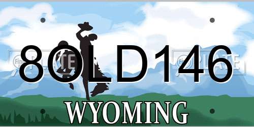 8OLD146 Wyoming License Plate