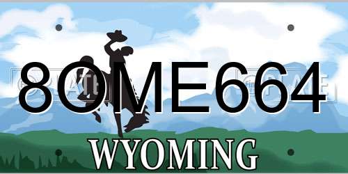 8OME664 Wyoming License Plate