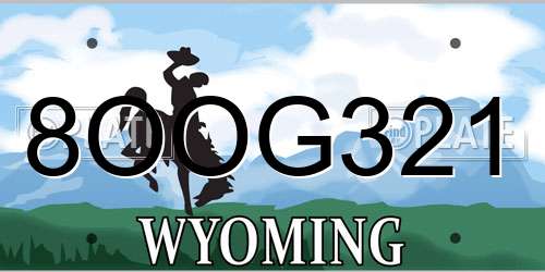 8OOG321 Wyoming License Plate