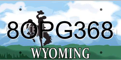 8OPG368 Wyoming License Plate