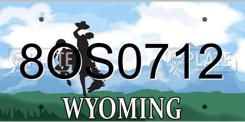 8OS0712 Wyoming License Plate