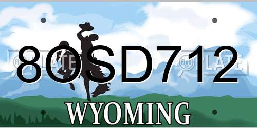 8OSD712 Wyoming License Plate
