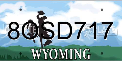 8OSD717 Wyoming License Plate