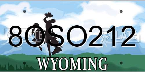 8OSO212 Wyoming License Plate