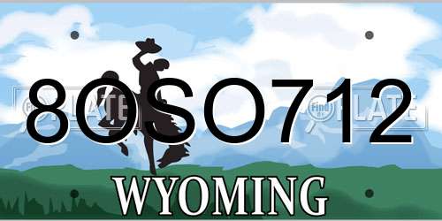 8OSO712 Wyoming License Plate