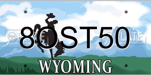 8OST50 Wyoming License Plate