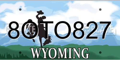8OTO827 Wyoming License Plate