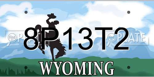8P13T2 Wyoming License Plate