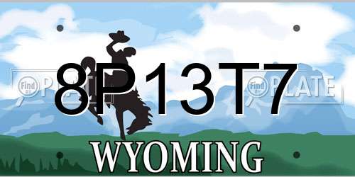 8P13T7 Wyoming License Plate