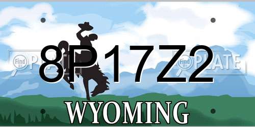 8P17Z2 Wyoming License Plate