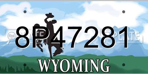 8P47281 Wyoming License Plate