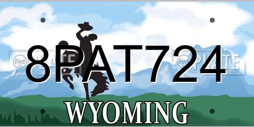 8PAT724 Wyoming License Plate