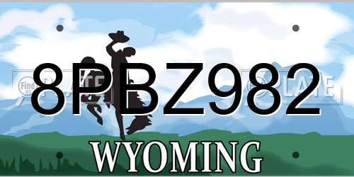 8PBZ982 Wyoming License Plate