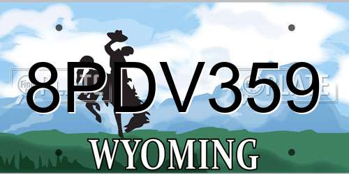 8PDV359 Wyoming License Plate