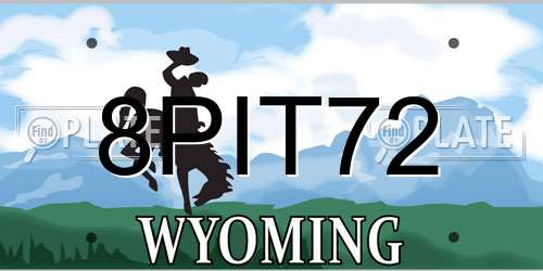 8PIT72 Wyoming License Plate