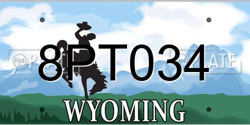 8PT034 Wyoming License Plate