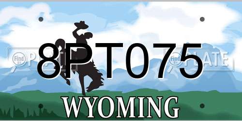 8PT075 Wyoming License Plate