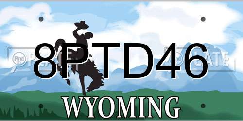 8PTD46 Wyoming License Plate