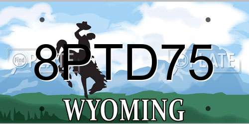 8PTD75 Wyoming License Plate